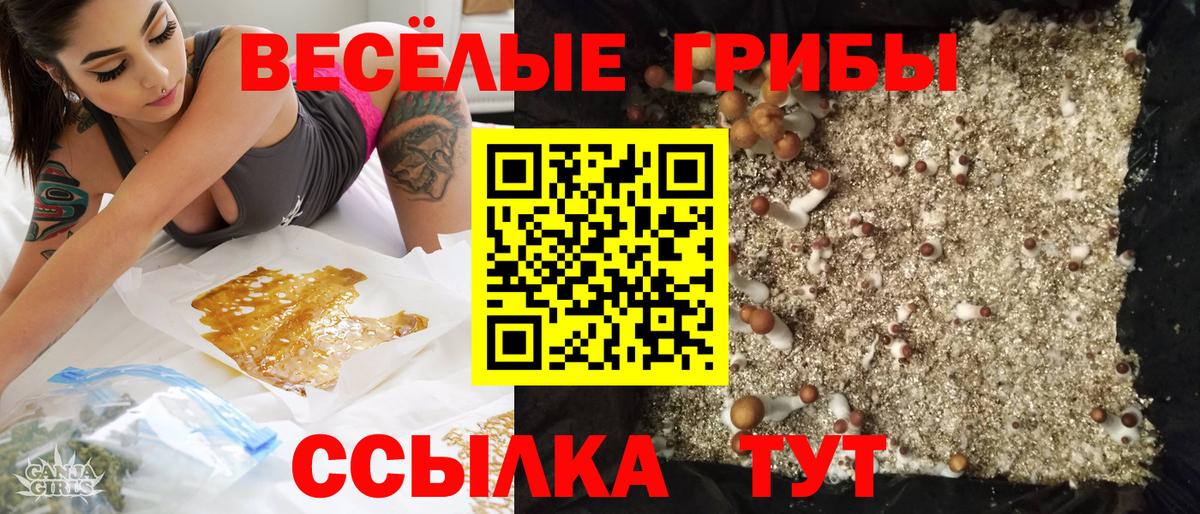 Псилоцибиновые грибы Cubensis Шали