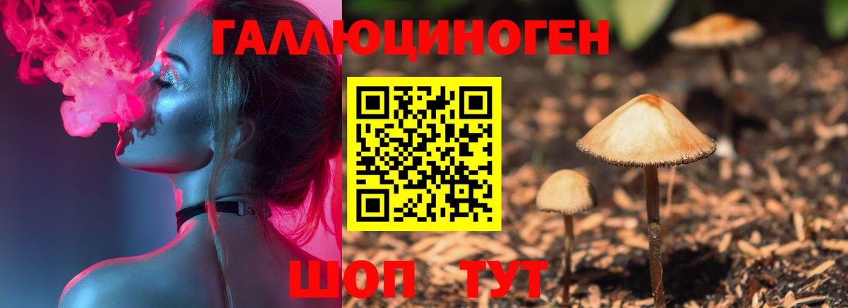 Шали  Галлюциногенные грибы Psilocybine cubensis  Вход с VPN 